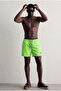 Men's Premium Jogger Lightweight Quick Dry Green Sea Shorts - 4