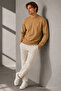 Reglan Casual Winter Caramel Men's Sweatshirt - 6