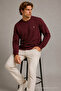 Reglan Casual Winter Burgundy Men's Sweatshirt - 3