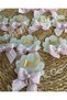 Bow-Shaped Oyster Model Gift Baby Magnet Glittery ((10 Pieces)) - 3