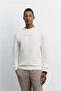 Men's Ecru Crew Neck Easy-Iron Printed Interlock Regular Fit Sweatshirt A62Y1285