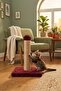 30cm Cat Scratching Board Cushion Surface Long - 2