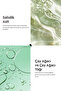 Pore Purifying Clay Mask – Salicylic Acid, Tea Tree Oil and Mint Extract 7 ml X 5 Pieces - 3