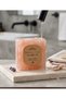 Himalayan Salt Soap. Inside the Pouch - 2