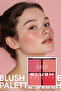 Blush Palette 4 Colors, Blush Palette 4 Color - 01 - 3