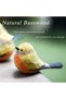 Handmade Wooden Carved Bird Decor,Hand-Painted Bird Figurine with Small Wooden Stake,Decorative Animal Sculpture for Home and Office - 2