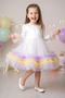Baby Girl Dress Girls' Dress Birthday Party Wedding Tutu Tulle Long Sleeve Lined Dress