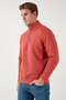 Cotton Regular Fit Half Zipper Stand Collar Ribbed Sweat Men's Sweat 59052592 - 6