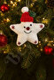 Christmas Tree Ornament Snowman-Looking Star 13 cm - 2