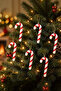 Christmas Pine Tree Ornament Candy Bar Set of 6, 9 cm - 8