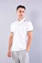 8328 Pike Modal T-Shirt with Collar and Shoulder Stripes - 2