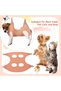 Rayyan Pet Grooming Hammock Set for Cats and Dogs,11-Piece Hanging Harness with Nail Clippers,Comb,and File,Orange,Medium - 7
