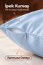Silkworm Life %100 Pure Mulberry Silk Pillowcase 50X70 cm Zippered Skin and Hair Friendly Luxury Silk - Blue - 3