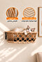 Wall-Mounted Cat Furniture 5-in-1 Set Shelves with Hammock, Condo, Bridge, Ladder & Steps for Indoor Cats, Safe & Stable Design - 8
