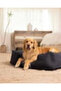 Inflatable Pet Bed With Hand Pump - Medium - 4