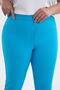 Women's Plus Size Capri Pants - 6