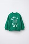 Children's Cotton Fish Printed Green Sweatshirt