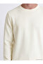 Vizyon New Season Ecru Regular Fit Men's Knitwear Sweater - 3