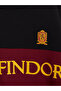 Harry Potter Boys' Sweatshirt for Style Enthusiasts from Uzg Store - 3