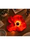 Karmen Wall & Desk Decorative Ambient Lamp - Karmen Decorative Ambient Wall and Table Lamp/Appliance - 5