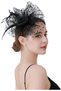 Women's Feather Flower Fascinator Headband,Mesh Tea Party Hat with Hair Clip for Weddings and Kentucky Derby