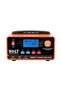 ÎNCĂRCĂTOR INTELIGENT DE BATERII A100 12V/24V 20A - 4