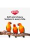 Nutri Soft Pet Parrot & Conure Bird Food, 3 Pound - 8