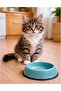 Cat Life Kitten Chicken 6kg - 3