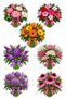 Bunch of Flowers Sticker Set 54 Pieces |   Flower Themed Sticker Pack - 7