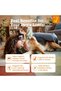 Liver Support Supplement for Dogs - with Milk Thistle Extract, Turmeric Curcumin, Choline - Soft Chew Formula - for Dog Liver Function - 2