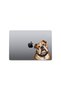 Confused Dog on a Leash Sticker Car, Motorcycle, Helmet, Laptop, Glass Sticker 13X10 cm - 4