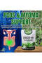 Ayb's Paragis with Moringa & Guyabano Tea – 20 Sachets (1.8g Each) - 7