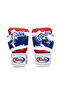 Muay Thai Boxing Sparring Gloves Bgv1
