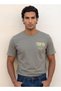 Basics Regular Fit Cotton Crew Neck T-shirt