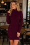 Women's Turtleneck High Neck Long Sleeve Front Back Hairnet Thessaloniki Knit Patterned Soft Textured Links Detailed Stylish Casual Burgundy Knitwear Mini Tunic Dress