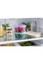 Storage Container Set of 2 0.3 Lt - 2