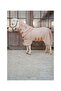 Mesh Comfort Fly Horse Blanket - 2