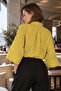 Women's Pistachio Green Self-Patterned Chiffon Shirt Arm-27K001002 - 2