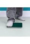 RF12029 Digital Body Scale - 4