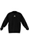 Men's Sweatshirt m Stadium Crw Jz2767 - 6