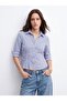 Skinny Fit Striped Blue Shirt