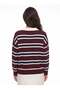 Burgundy Cream Acrylic Textured Polo Collar Long Sleeve Striped Patterned Standard Fit Knitwear Sweater - 2