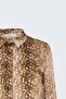 Patterned Classic Shirt - Brown - 4