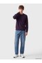 Özmarka New Season Purple Crew Neck Men's Knitwear Sweater - 2