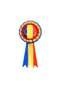 Insigna tricolor ROMANIA - 2