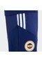 Fenerbahçe S.K. Erkek Şort - 7