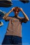 Men's Regular Fit 100% Cotton Brown Summer T-Shirt - 4