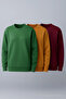 Women's Premium Casual Winter 3-Piece Sweatshirt