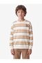 Regular Fit Crew Neck Long Sleeve Striped Printed Sweatshirt - 2