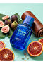 BOLD MOTION Men's Perfume Set of 2 - ROYAL LANE + SUB LIME, Eau De Parfum - 50ml (Each), Premium Gift Set For Men - 2